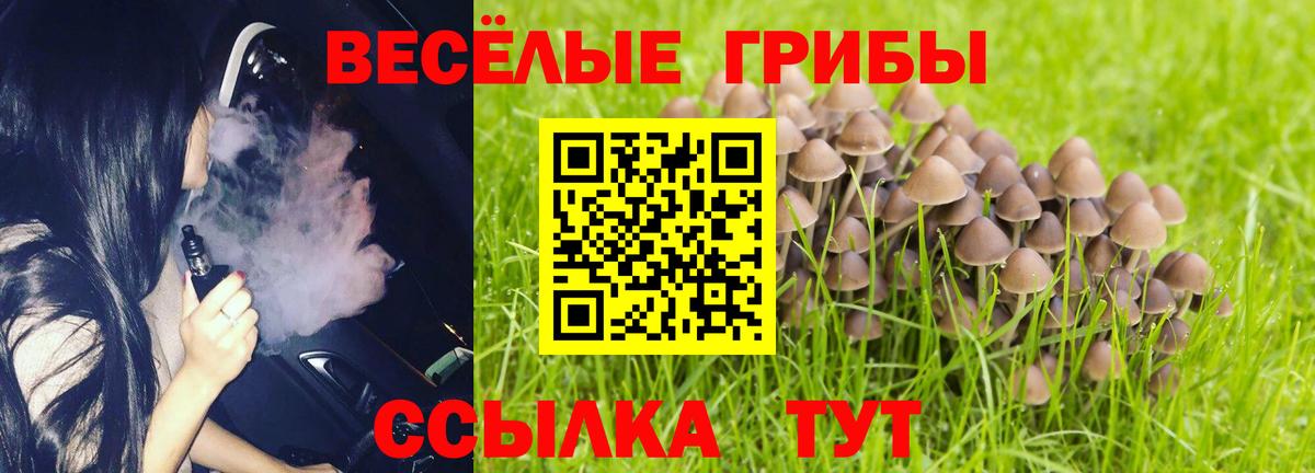 Псилоцибиновые грибы Psilocybe  Псилоцибиновые грибы Psilocybine cubensis  Киров  Вход с VPN 