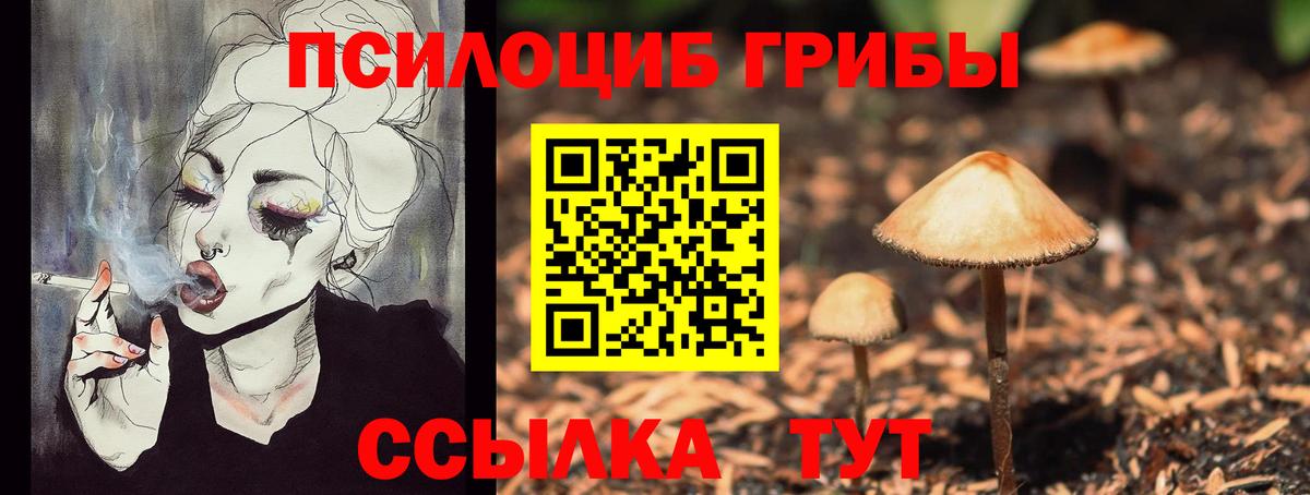 Галлюциногенные грибы Magic Shrooms Киров